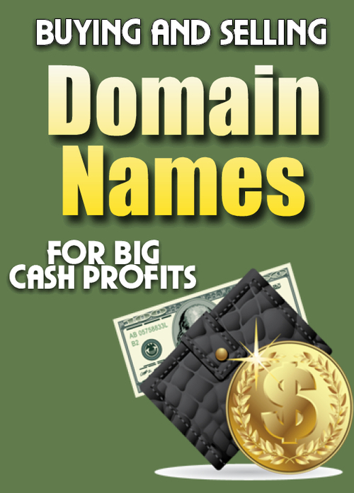 Product picture Buying and Selling Domain Names